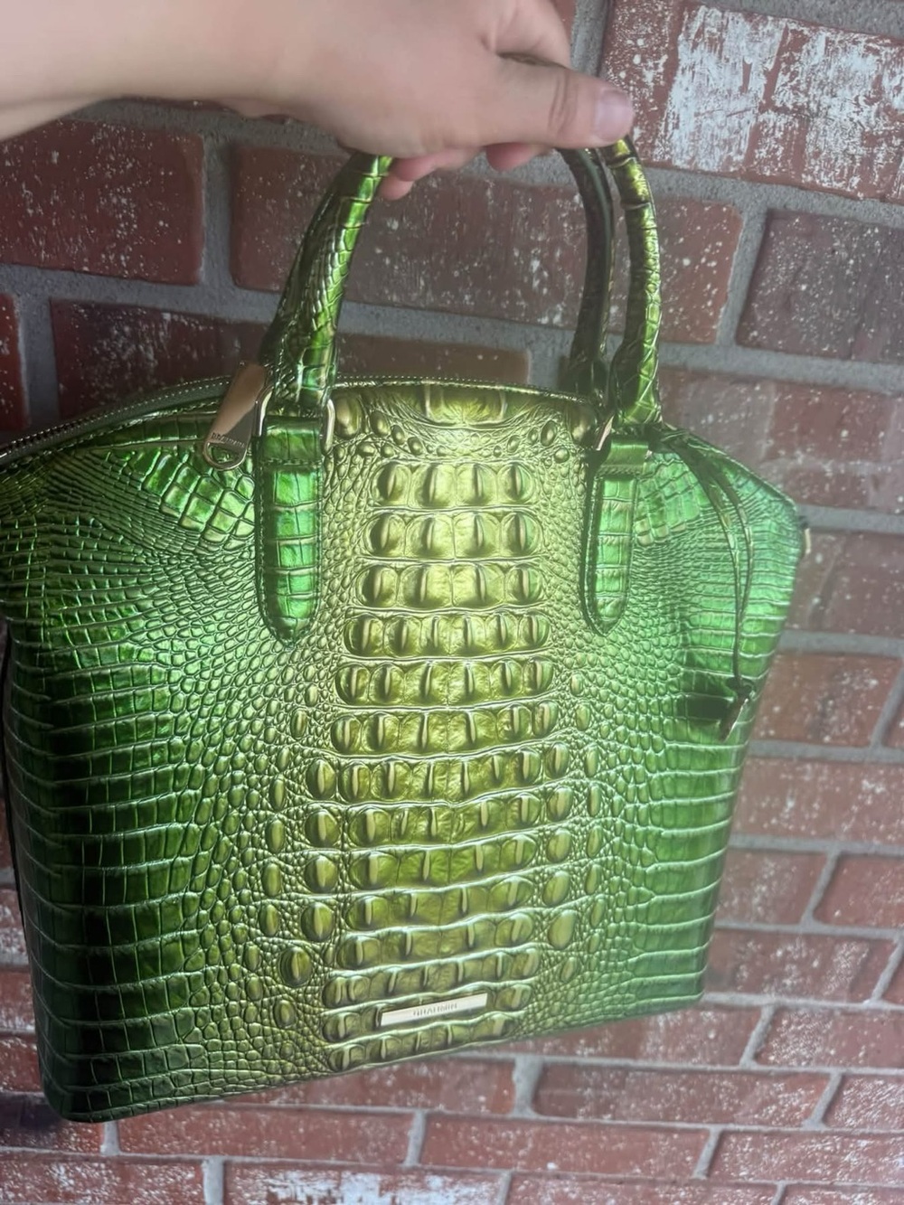 Brahmin Duxbury cacti Green